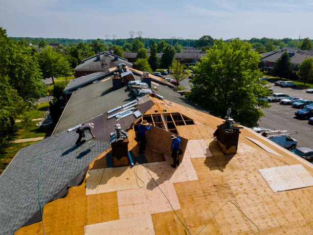 Best Flat Roof Repair Services  in Isanti, MN