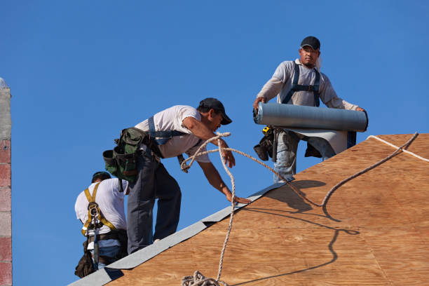 Best Commercial Roofing Services  in Isanti, MN