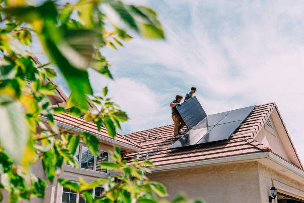 Best Roof Gutter Cleaning  in Isanti, MN